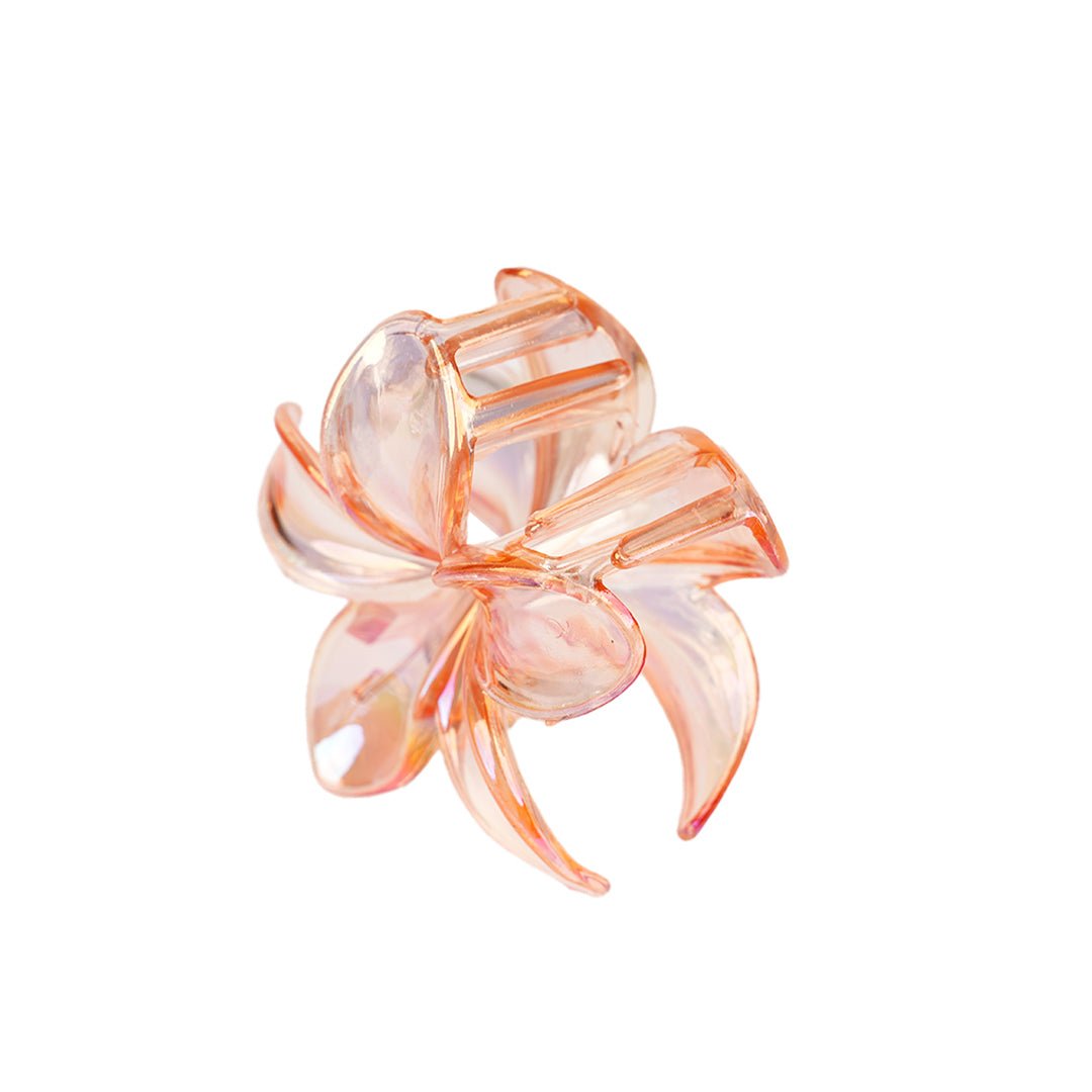 ACCESSOIRES | PETALES PRISMATIQUES