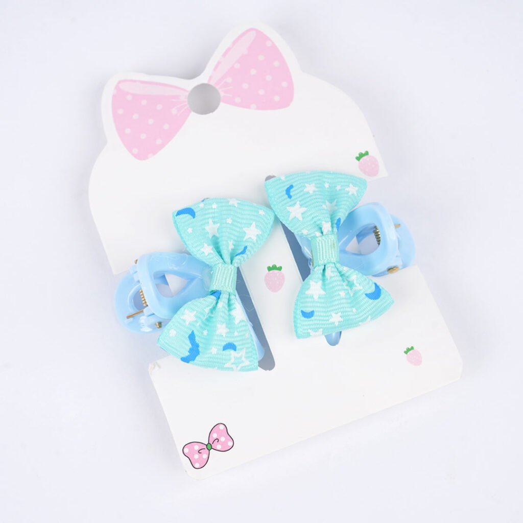 ACCESSOIRE | PINCES A CHEVEUX